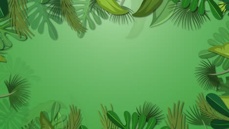 animated sequence of flourishing plant life.