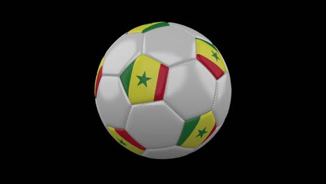 pelota de fútbol con bandera senegal bucle 4k con alfa