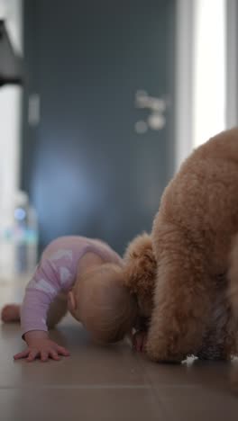 baby crawling and playing with a dog