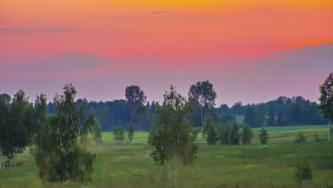tiro de lapso de tiempo de la puesta de sol en el lapso de tiempo a lo largo del cielo rojo sobre abedules durante el tiempo de la tarde sobre el paisaje rural
