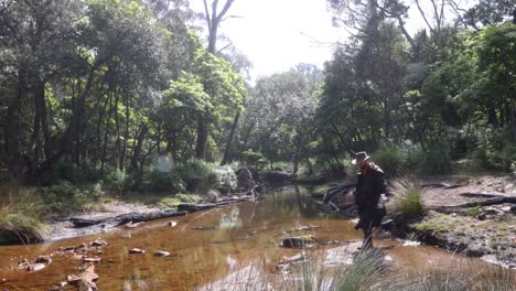 a bushman in a stockman jacket crosses a wild creek out in the australian bush while looking for water