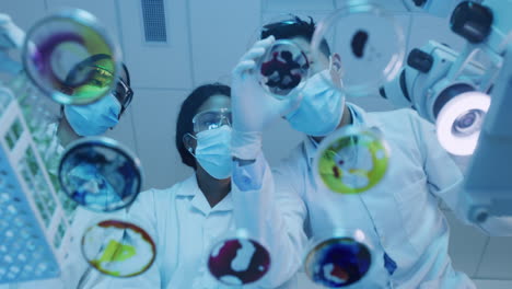 young scientists experimenting with petri dish