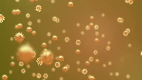 animation of macro covid-19 cells floating on orange background