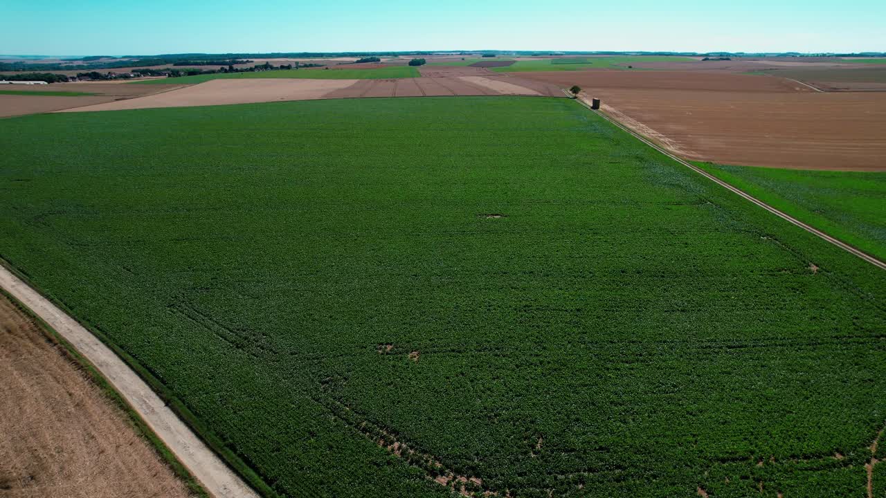 Flying Towards The Beautiful Agricultural Land Planted With Green Crops