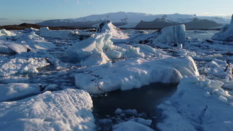 a massive iceberg revealing a flock of small birds sitting on the flat iceberg