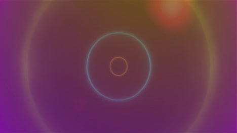 animation of neon circles on colourful background