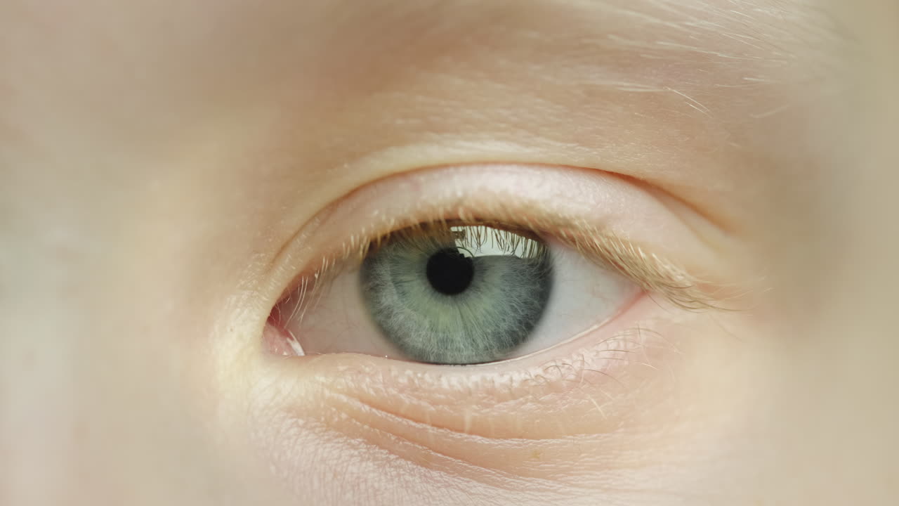 어린 소녀의 아름다운 파란 눈