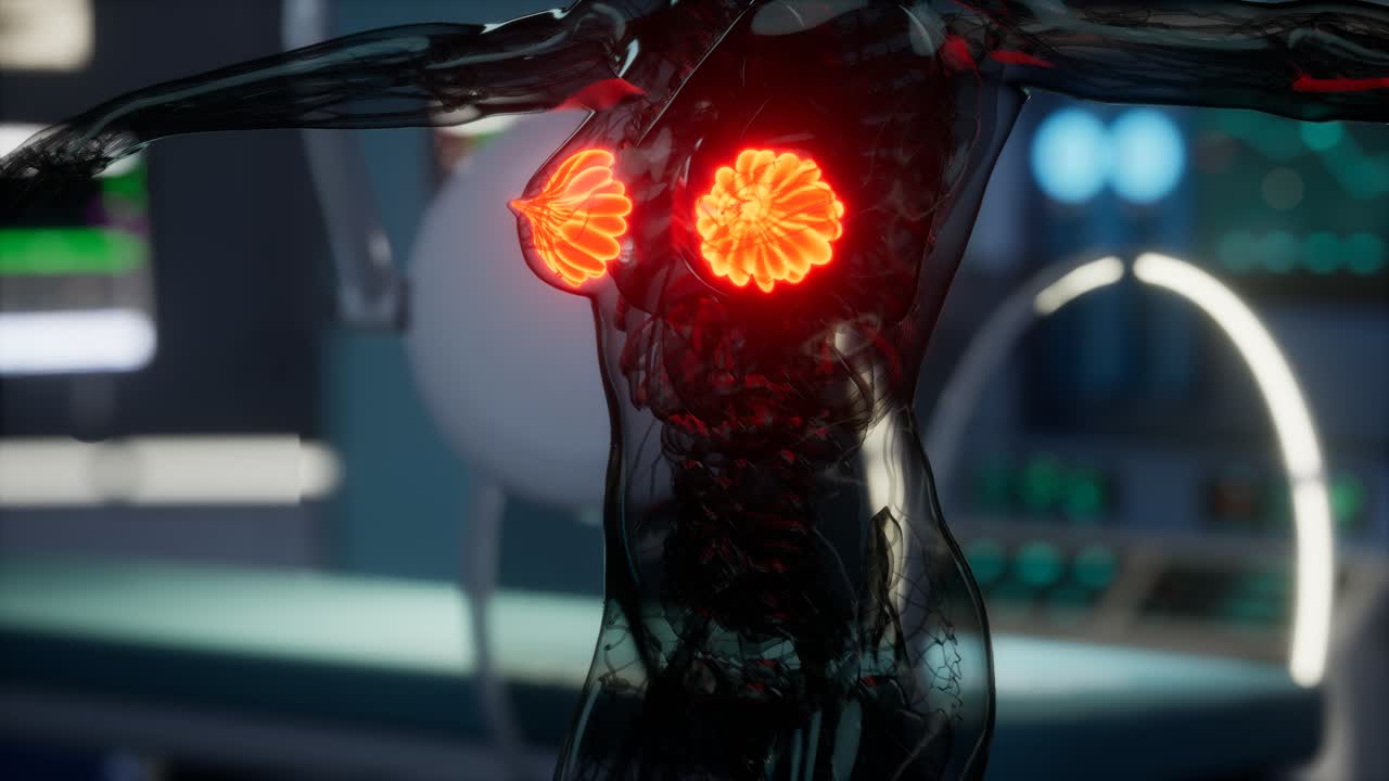 여성 유방 의 의학적 검사