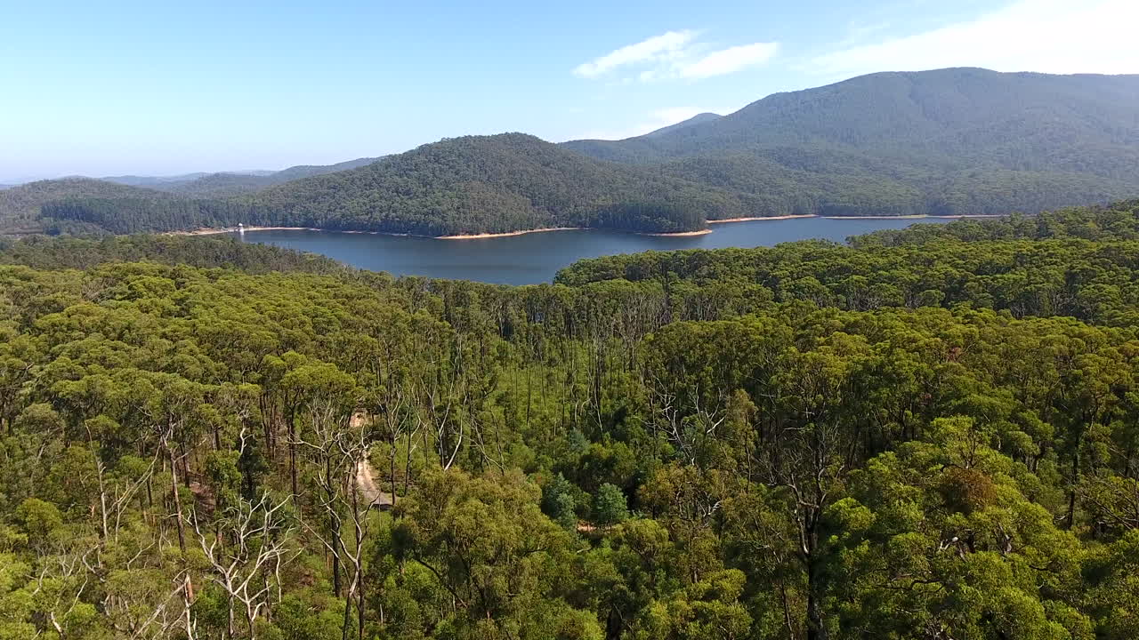수목 한계선 상공 비행, 댐 노출