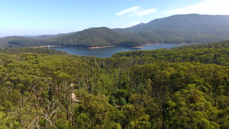 Flying-over-treeline,-reveal-dam