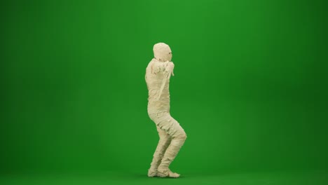 a mummy wrapped in bandages dancing oriental dance moving gracefully green screen isolated chroma - a mummy wrapped in bandages dancing oriental dance, moving gracefully. green screen isolated chroma key video. mock up, workspace, advertisement. full length. back view. halloween holidays