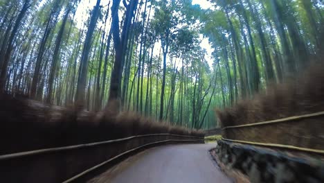 4k, time lapse arashiyama bamboo grove hyperlapse in kyoto of japan