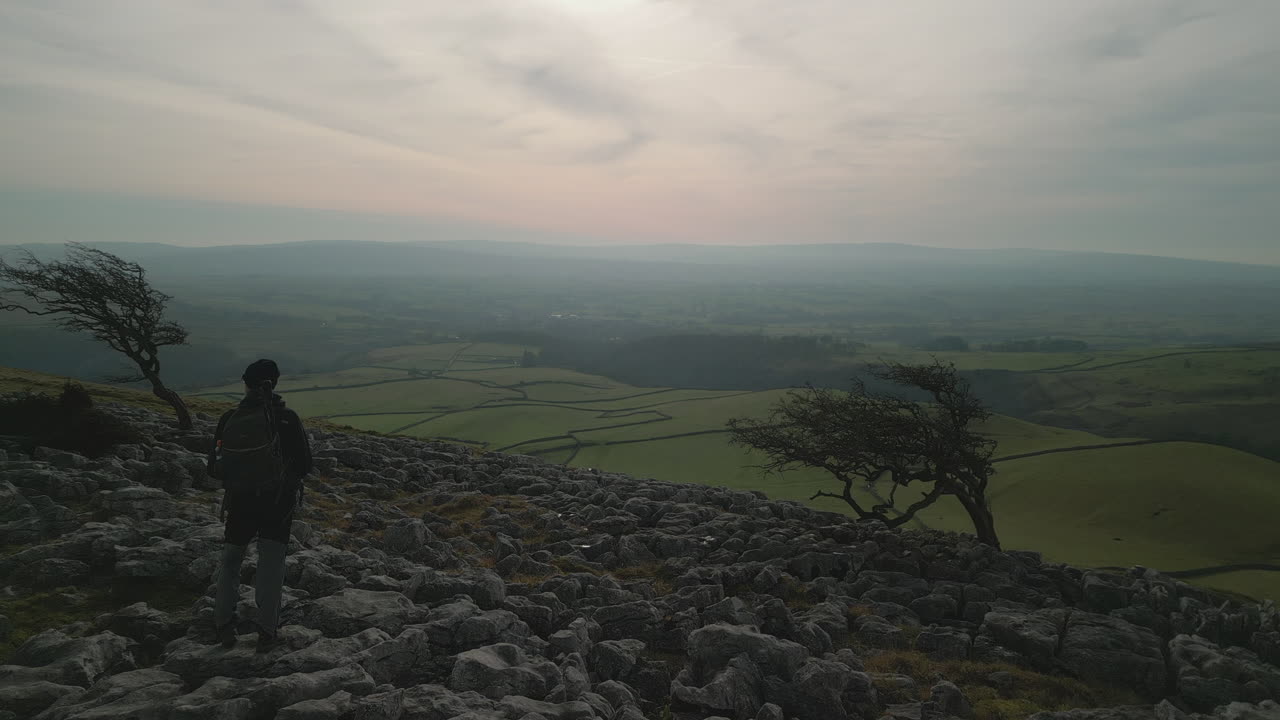 잉글턴 요크셔 영국(ingleton yorkshire uk)에 있는 녹색 패치워크 밭이 있는 두 개의 오래된 나무 사이를 감상하는 하이커