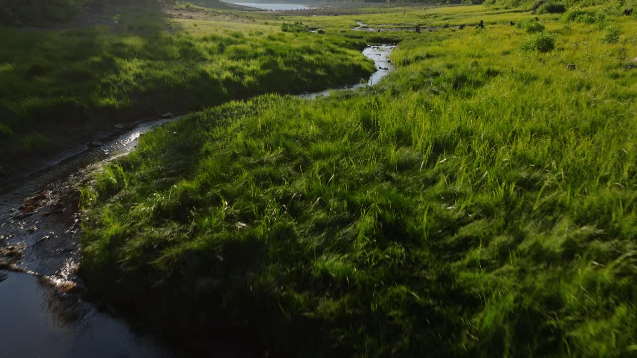 Serene grassy lake near Yellowstone, calming nature scene with gentle stream