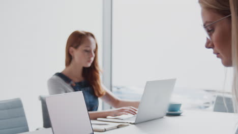 pull focus shot of two casually dressed young businesswomen working on laptops and in office