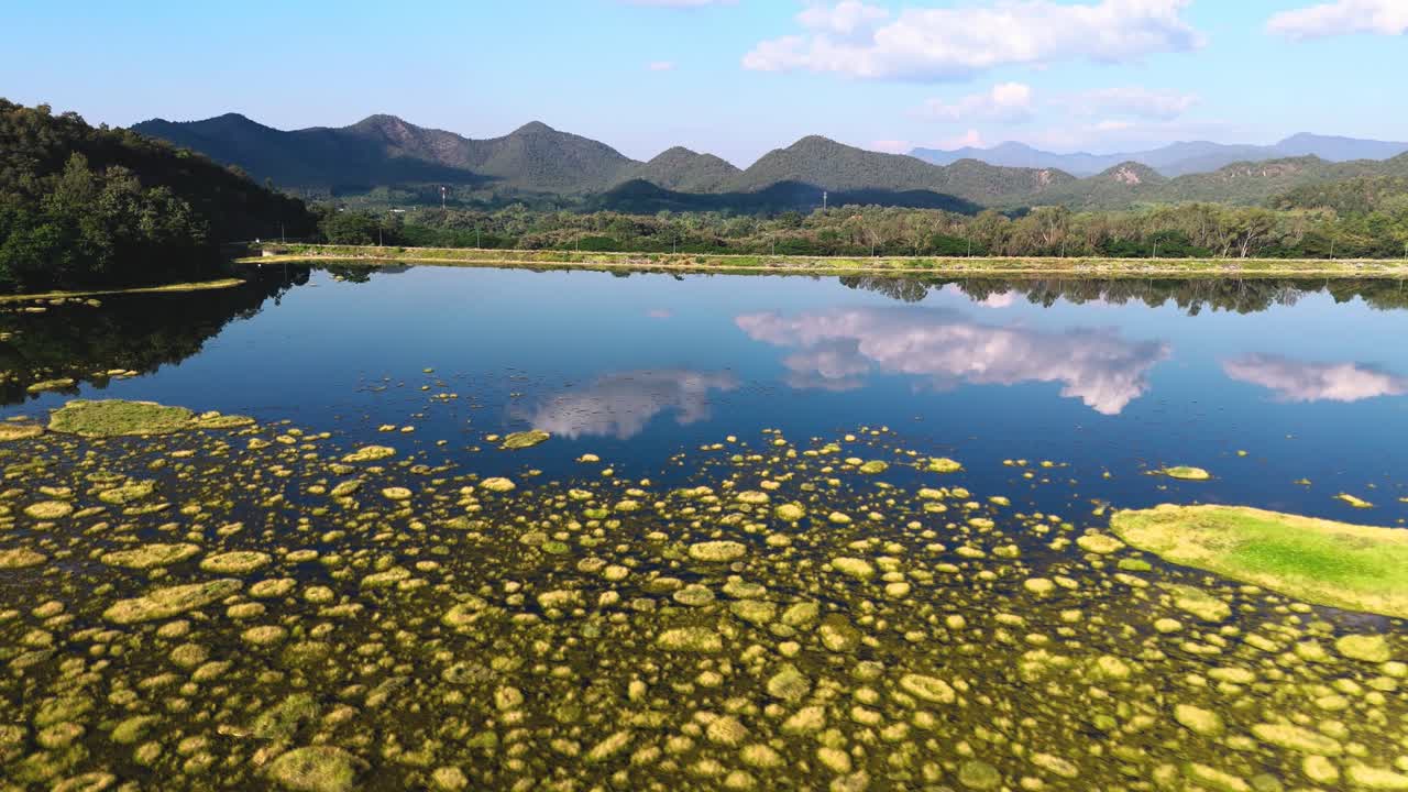 Aerial View of a Serene Lake with Algae and Mountain Reflections