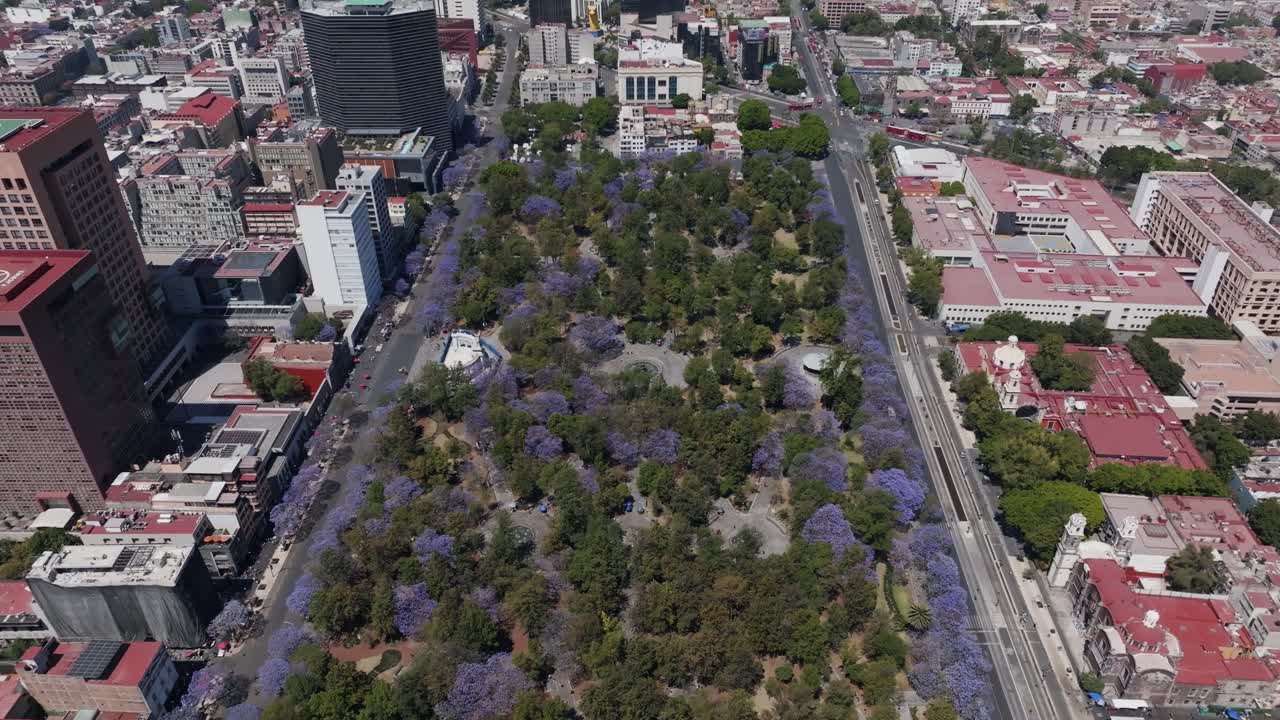 Alameda Park, Mexico City, Morning, aerial shot, nature, Mexico, trees, Big City