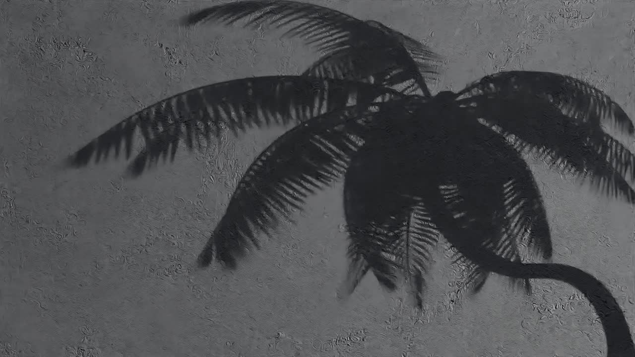 sombra de palma en la pared negra con textura