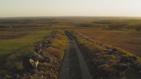 vibrant green country road landscape sunset aerial