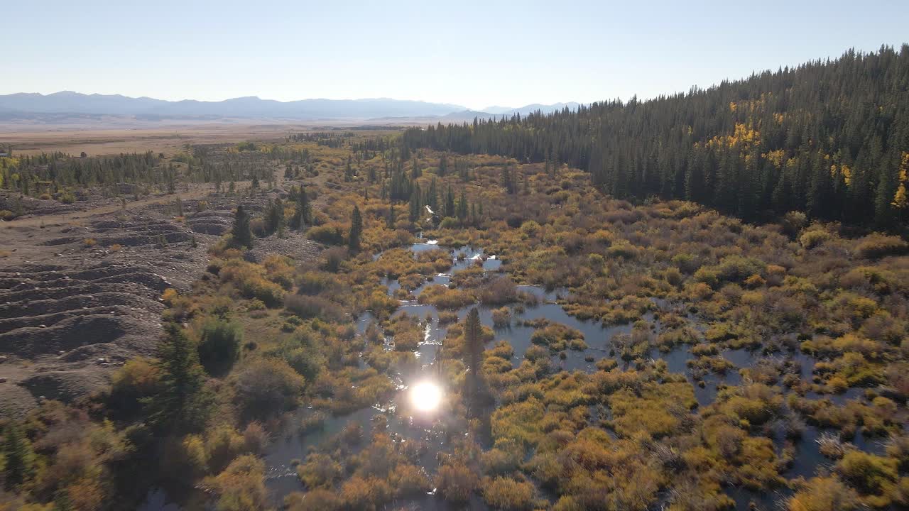 비버 연못을 향해 위에서 아래로