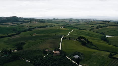Aerial-view-over-a-road-winding-through-Italy's-remote-wine-vineyards