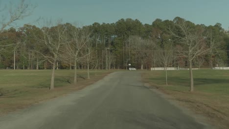 moving down tree-lined driveway at fall time