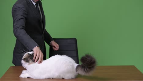 young handsome bearded persian businessman against green background