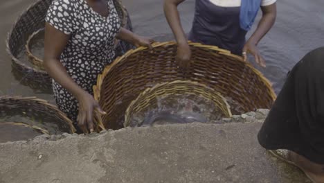 Mujeres-Pescando-Nigeria-02