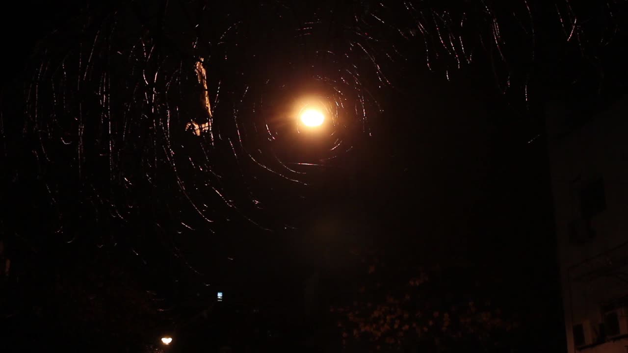 Lampione stradale che illumina la pioggia che cade di notte.