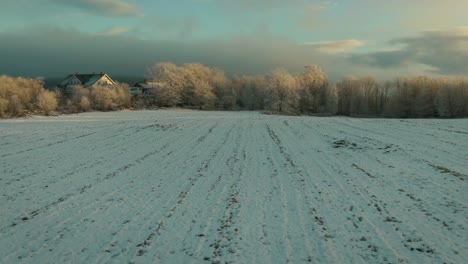 Drone-Footage-in-a-Field