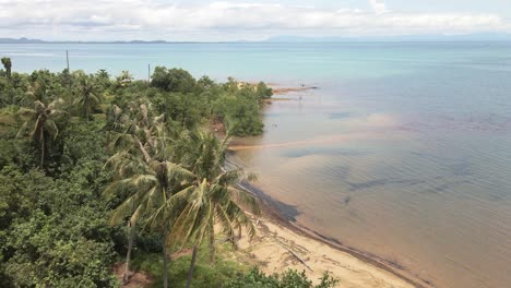 toma aérea de promontorio arenoso y tailandia continental en la distancia en una isla tropical con palmeras