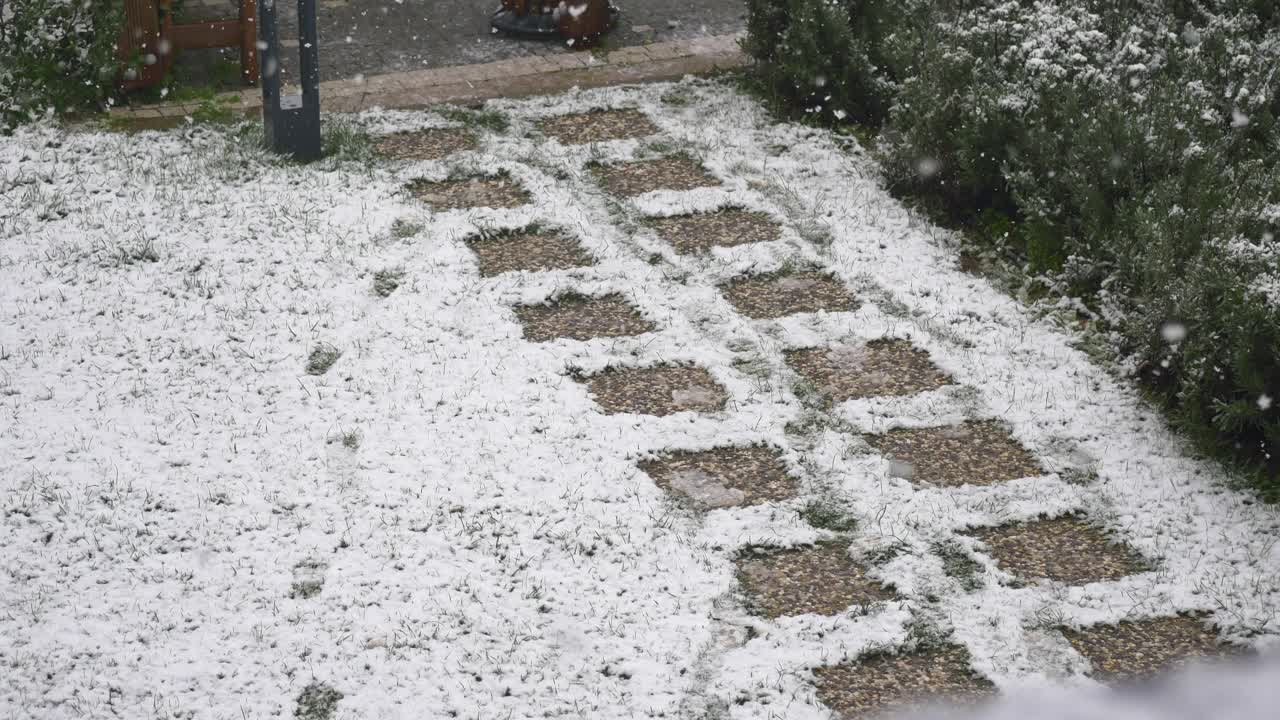 Snowy pathway in a garden