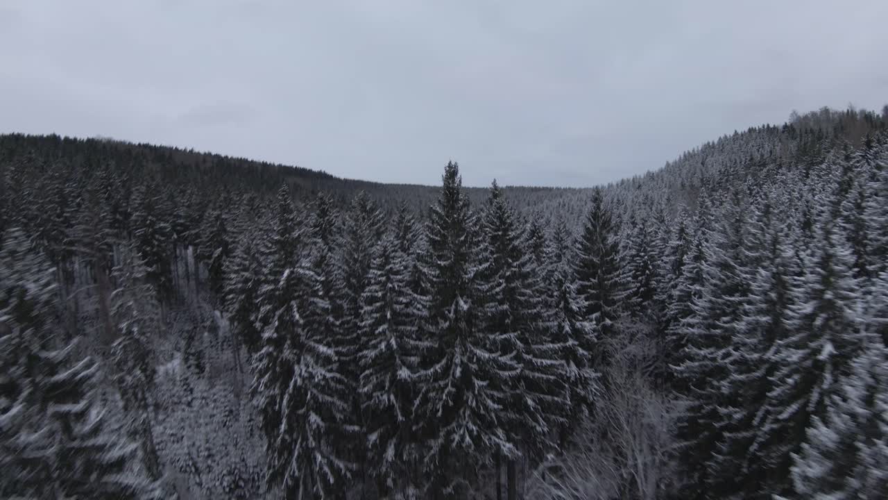 clip de dron fpv de un bosque cubierto de nieve