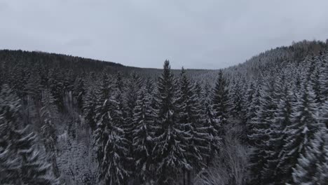 fpv drone clip from a snow covered forest