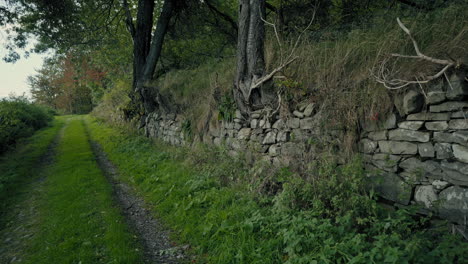 wooded path with a stone wall