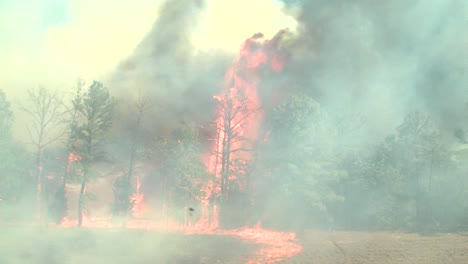 Un-Fuego-Salvaje-Azotado-Por-El-Viento-Sopla-A-Través-De-Un-Campo-Y-En-Un-Bosque