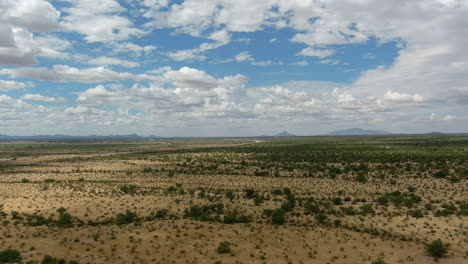 Aerial-shot-of-the-Sonoran-desert-in-Arizona,-slow-moving-drone-shot-with-mountains-in-the-distance