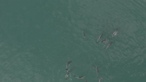 Vogelperspektive-Einer-Schote-In-Vleesbaai,-Westkap,-Südafrika