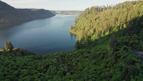 Imágenes-Aéreas-De-Drones-Volando-Sobre-Helechos-Y-Arbustos-Nativos-Hacia-El-Lago-Azul-En-Rotorua,-Nueva-Zelanda