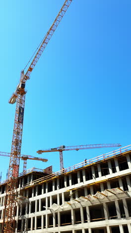 cranes at a clear site. cranes tower over a construction site as workers manage building activities during bright daylight