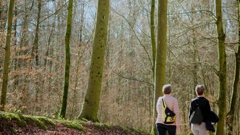 Two-women-walking-in-the-forest