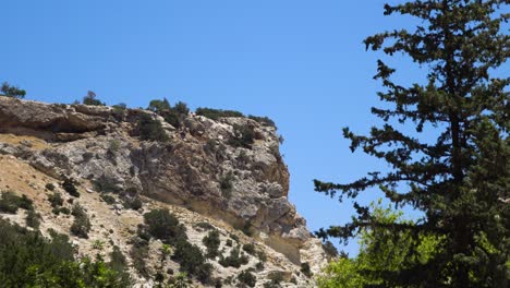 rocky mountain landscape with trees