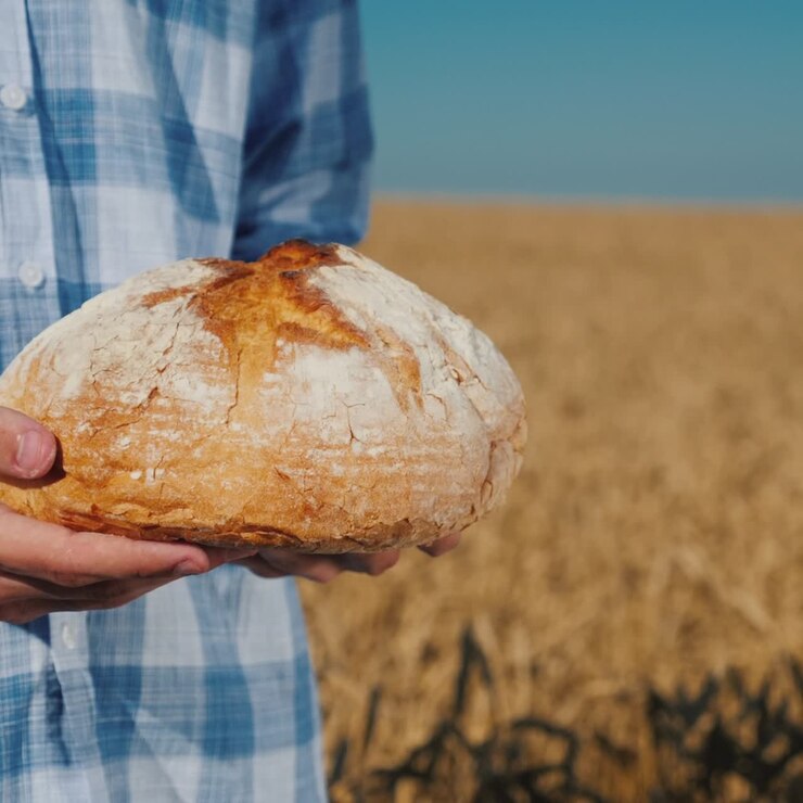 Farmer holds a loaf of bread in a wheat field 4