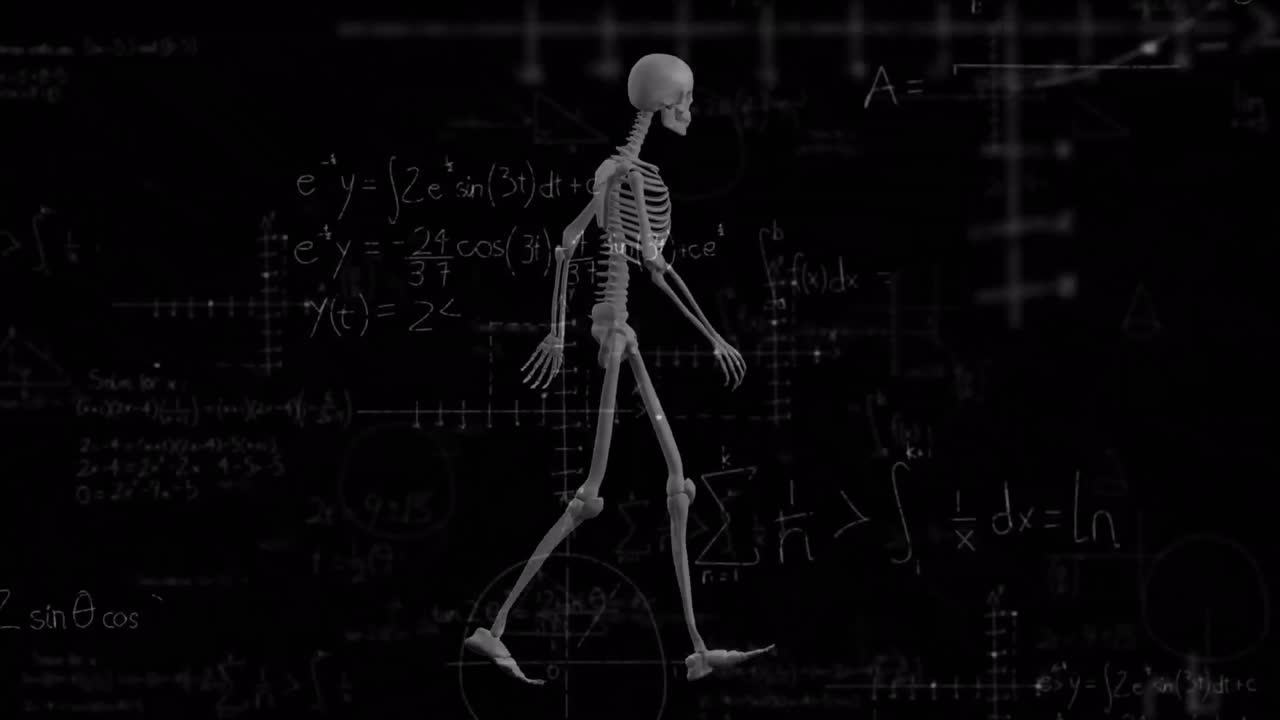 animación de ecuaciones matemáticas sobre el esqueleto