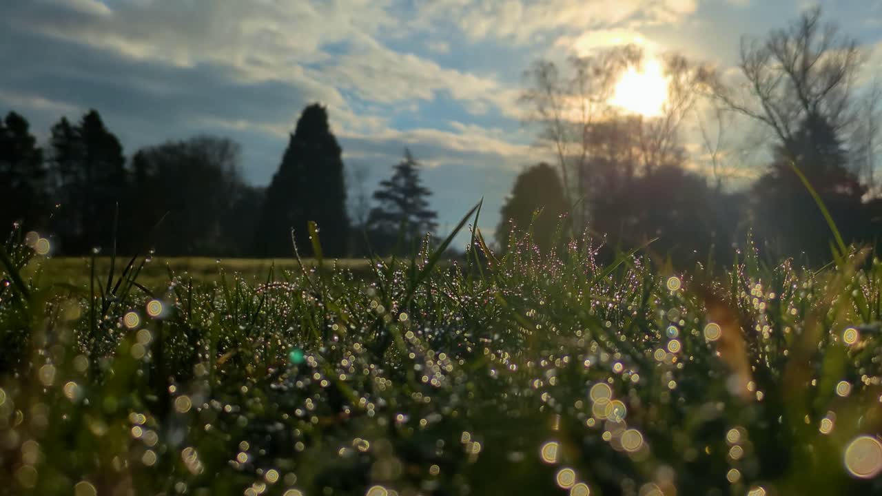 Slow Rising Shot Over Field with Raindrops on Grass During Winter Time with Sunlight Backdrop with Trees. Beautiful Nature Footage.