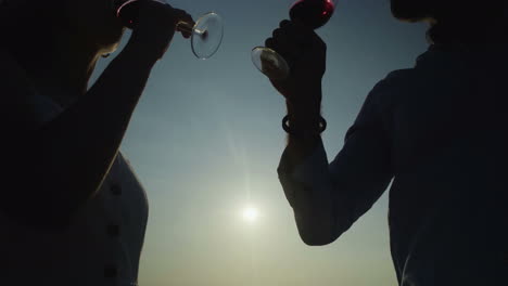 disparo recortado de una pareja bebiendo vino al aire libre