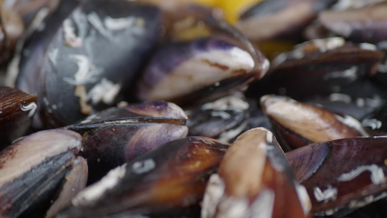 mejillones frescos en un mercado