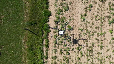 vista aérea a vista de pájaro de un dron octocóptero volando sobre el campo agrícola y rociando fertilizantes o pesticidas