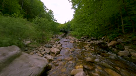 drone following car driving on a winding dirt road through a dense forest