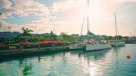 Static-shot-of-docked-catamarans-at-the-local-port-in-Port-Louis-in-the-Mauritius-Island